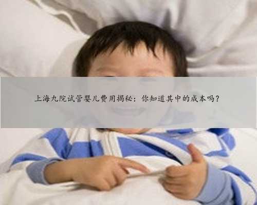 上海九院试管婴儿费用揭秘：你知道其中的成本吗？